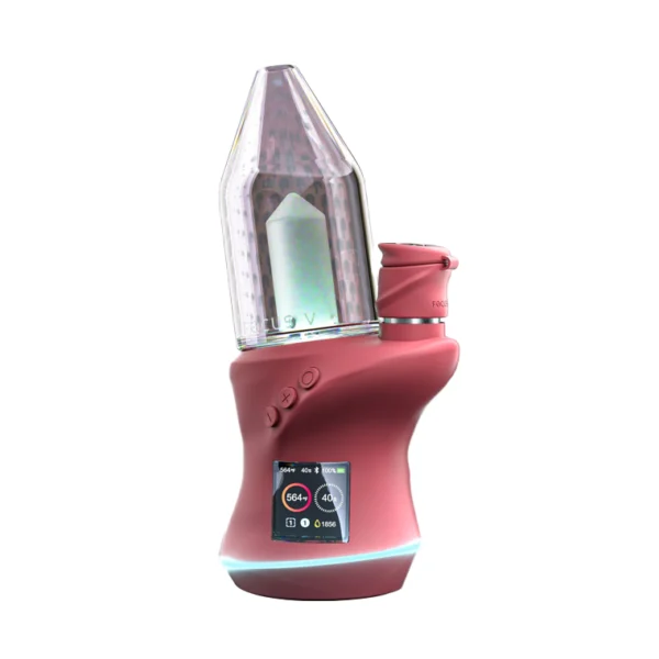 Focus V Carta 2 Bordeaux