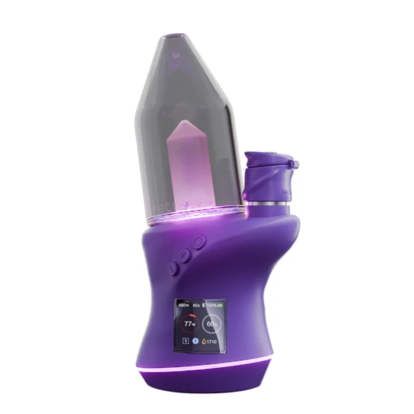 Focus V Carta 2 Grape